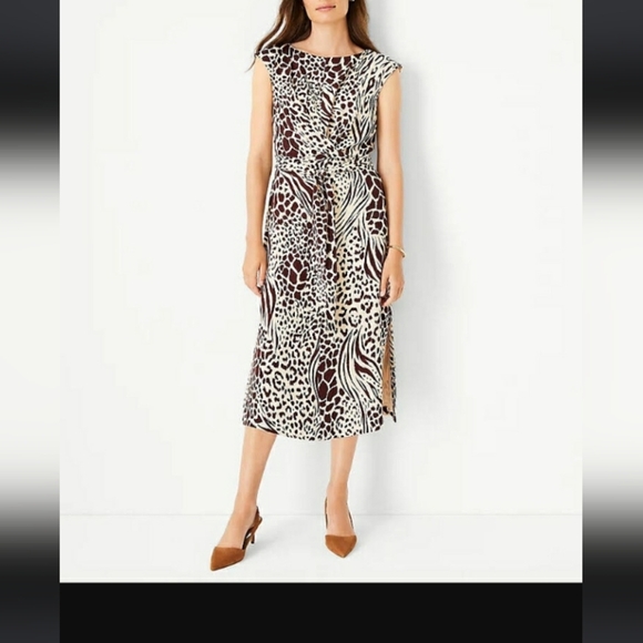 Ann Taylor Dress - Picture 1 of 7